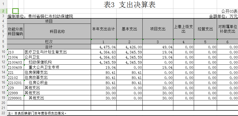 支出决算表