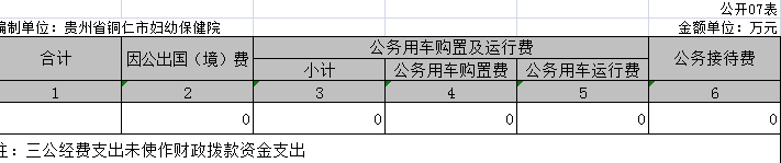 贵州省铜仁市妇幼保健计划生育服务中心2017年度部门决算