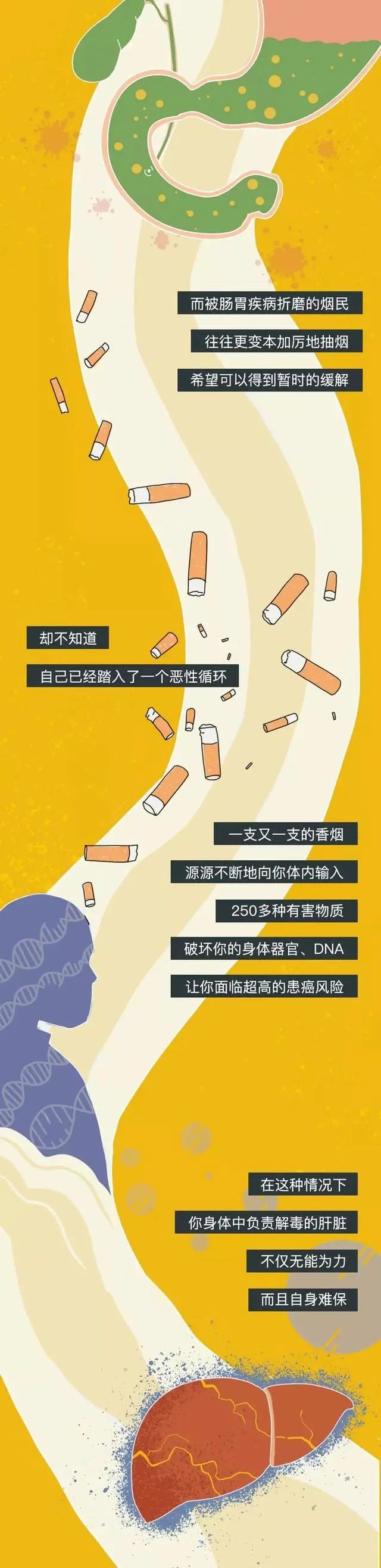 健康 | 你还记得第一次抽烟吗？深度解析，抽烟20年“人体变化”