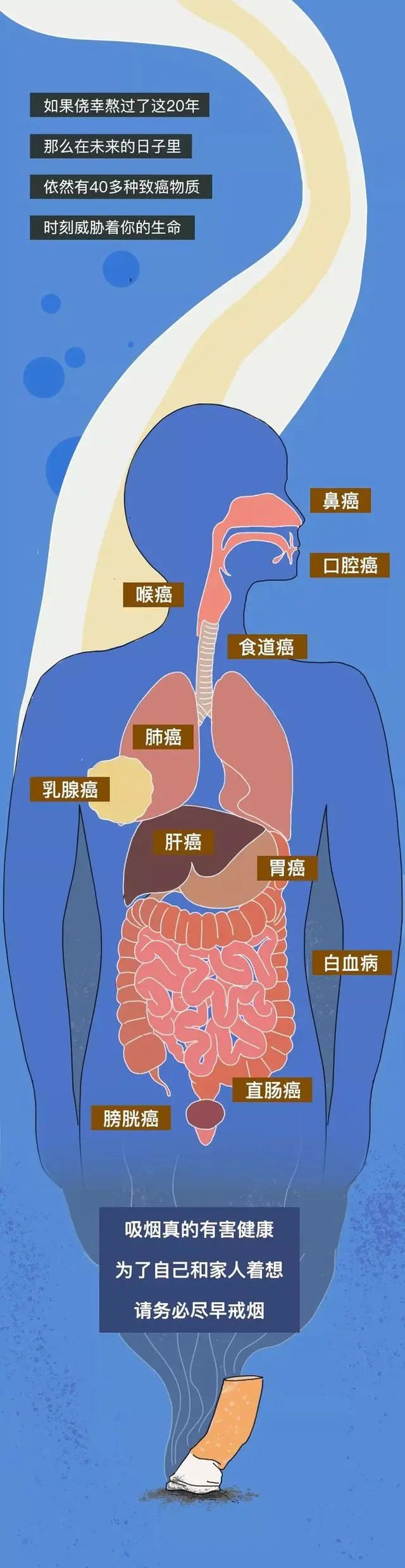 健康 | 你还记得第一次抽烟吗？深度解析，抽烟20年“人体变化”