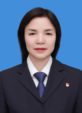 院总会计师 邹新如